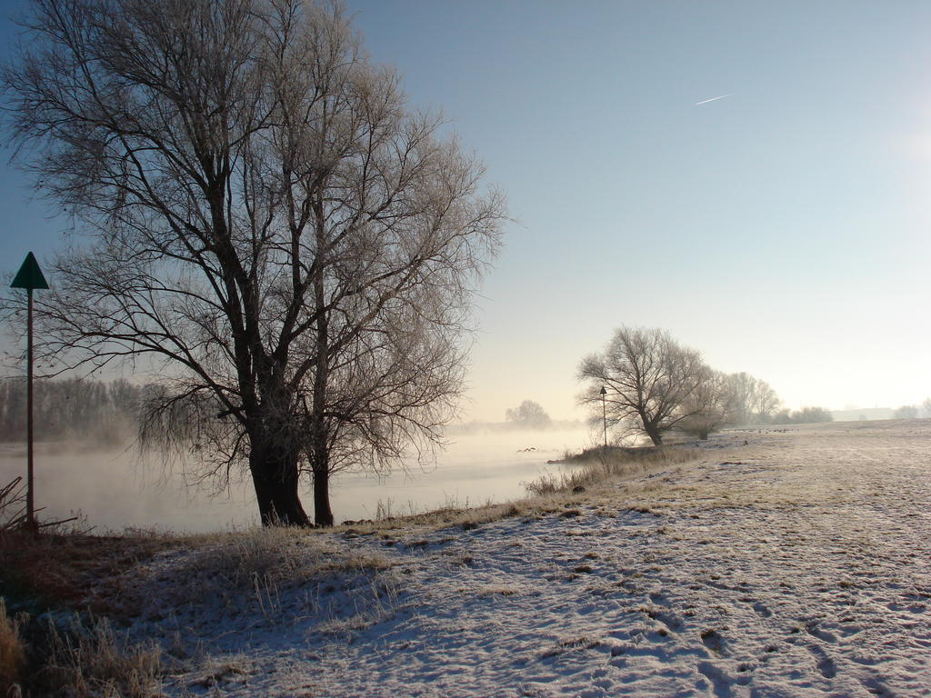 'T Kruushuus Villa Welsum Bagian luar foto